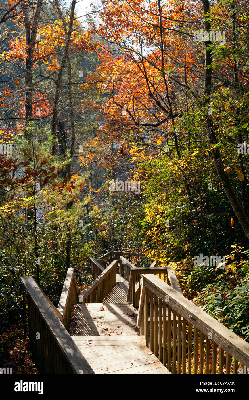 Treppe zum Triple fällt - DuPont State Forest - nahe Brevard, North Carolina USA Stockfoto