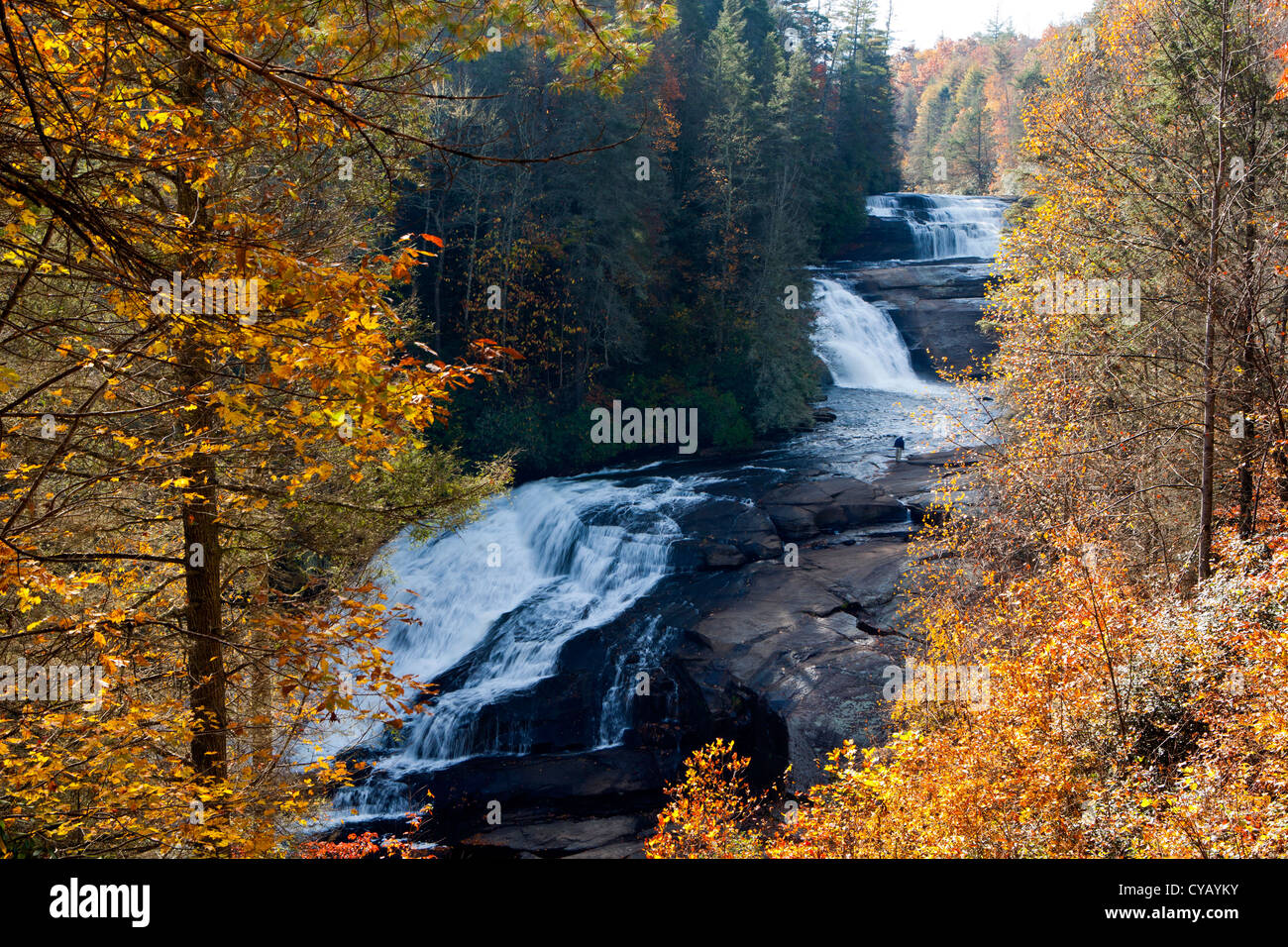 Dreifach - DuPont State Forest - Wasserfälle in der Nähe von Brevard, North Carolina USA Stockfoto
