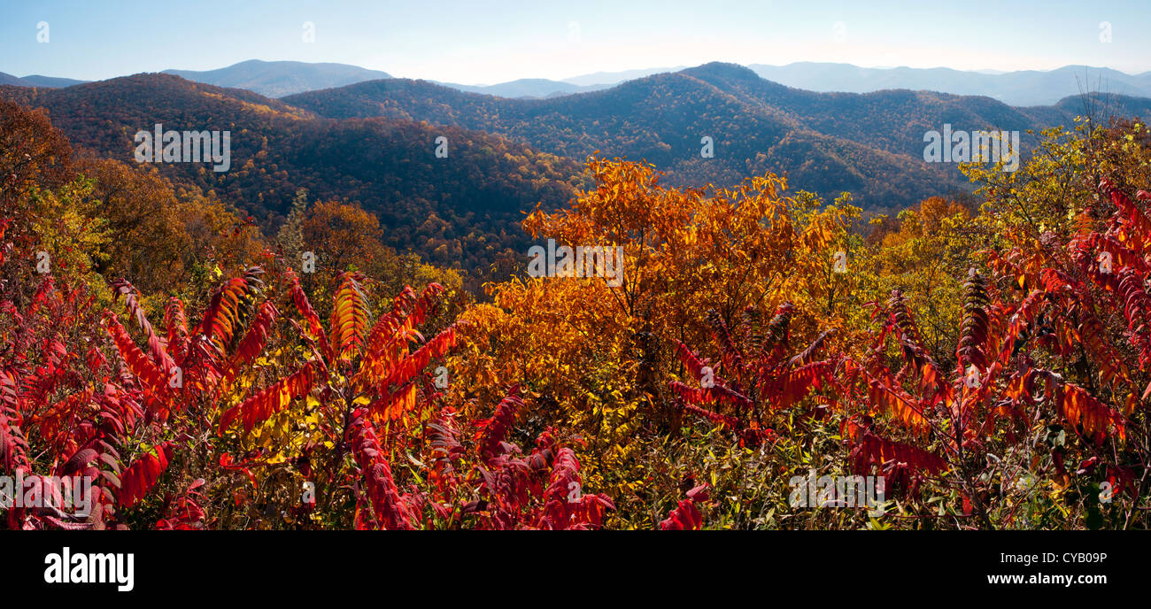 Herbst in Blue Ridge Mountains (zusammengesetzte Panoramabild) - in der Nähe von Asheville, North Carolina USA Stockfoto