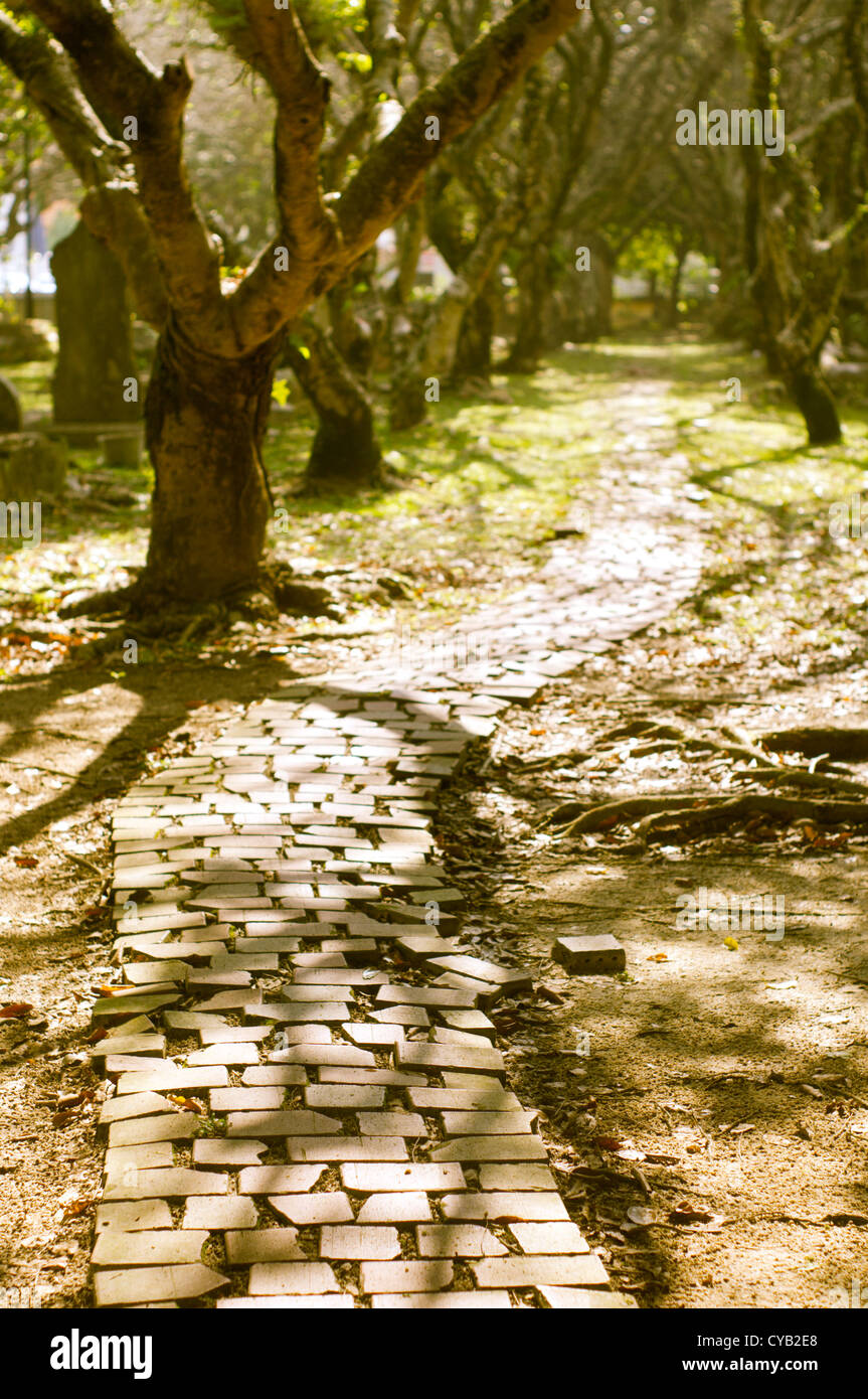 Friedhof in der Tageszeit, scheint die Sonne durch die Äste. Stockfoto