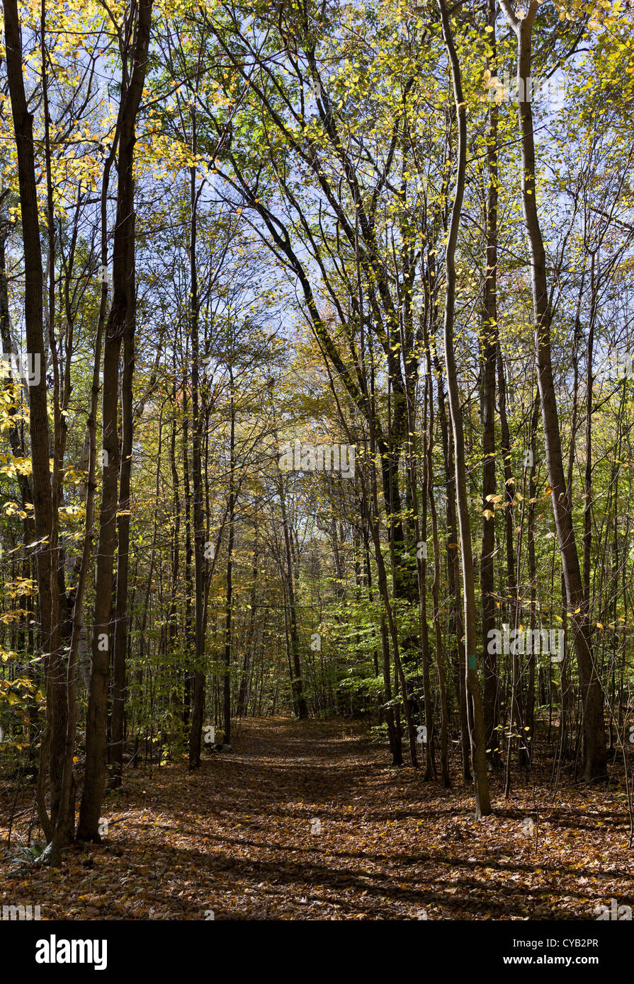 EQUINOX PRESERVATION TRUST MANCHESTER VERMONT Stockfoto