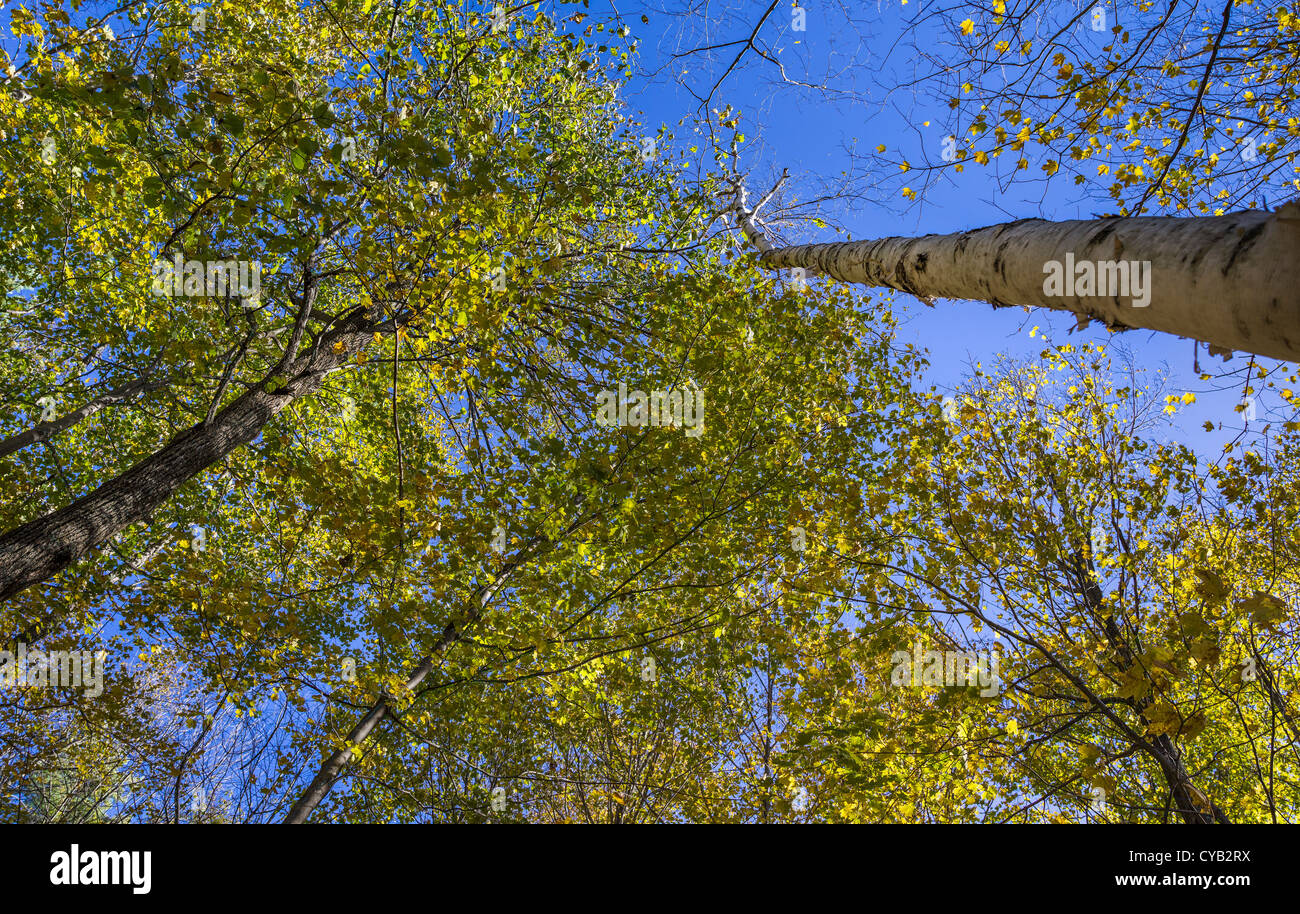 EQUINOX PRESERVATION TRUST MANCHESTER VERMONT Stockfoto