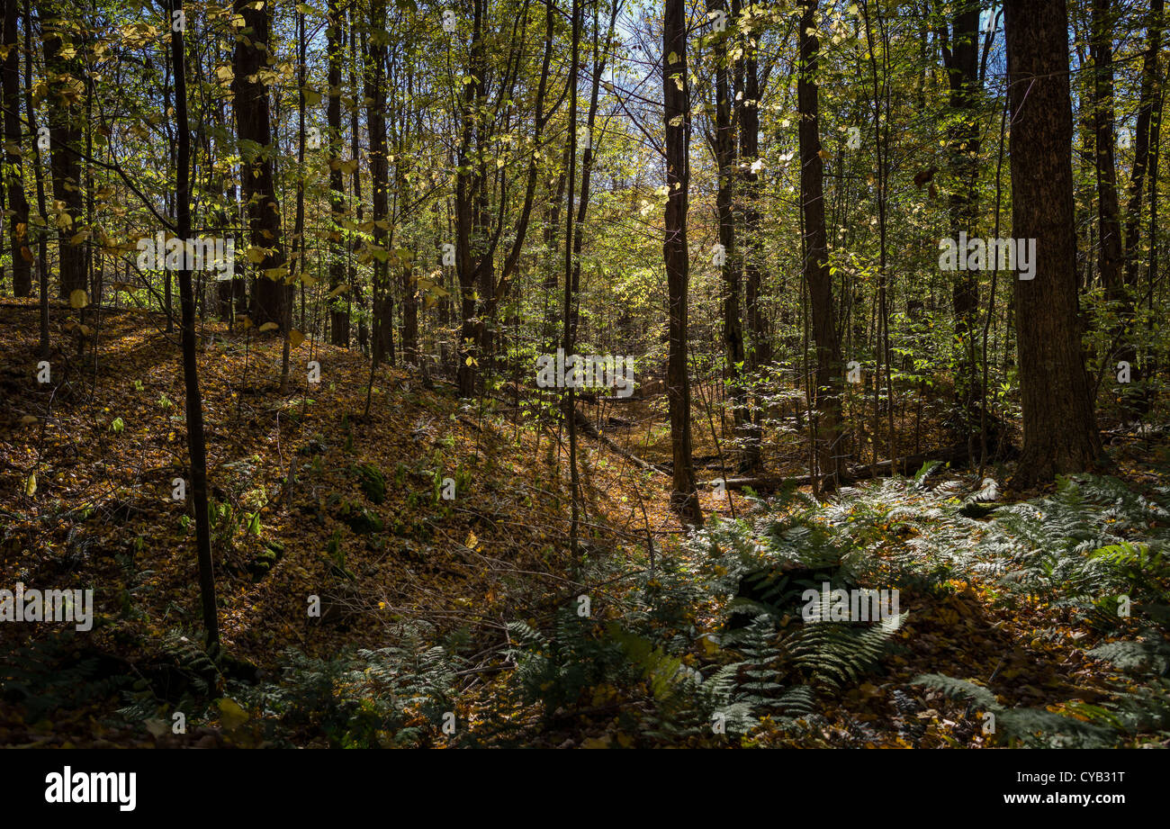 EQUINOX PRESERVATION TRUST MANCHESTER VERMONT Stockfoto