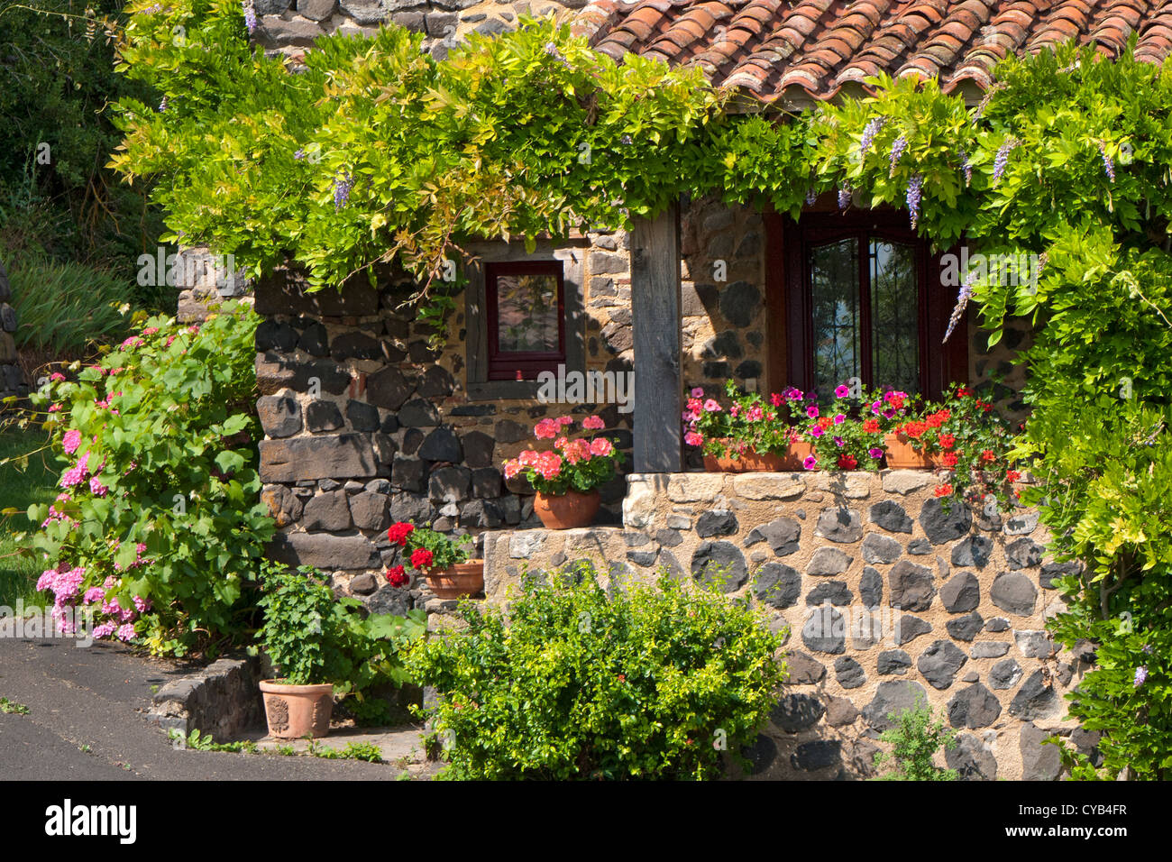 bunte Blumen rund um Eingang alte französische Cottage, Auvergne, Frankreich Stockfoto