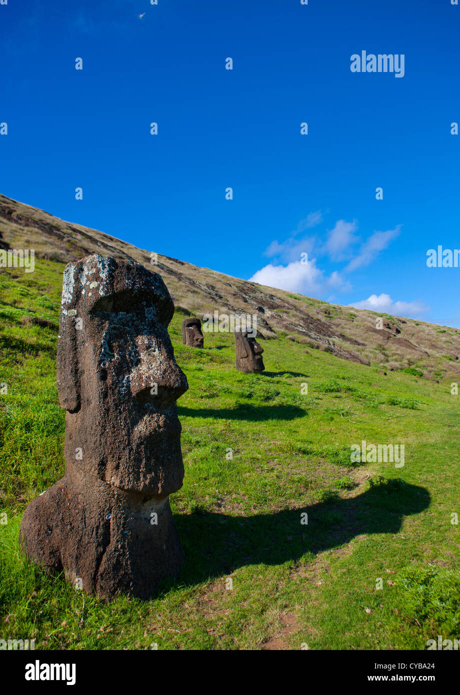 Moais In Rano Raraku, Osterinsel, Chile Stockfoto