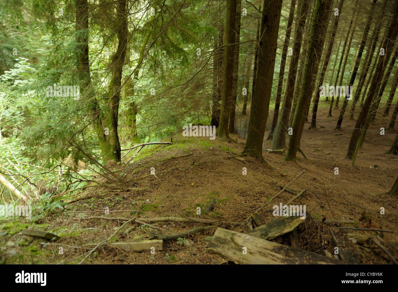 Offa es Dyke senkt sich einen steilen Hang in der Nähe von Offa es Pool Stockfoto