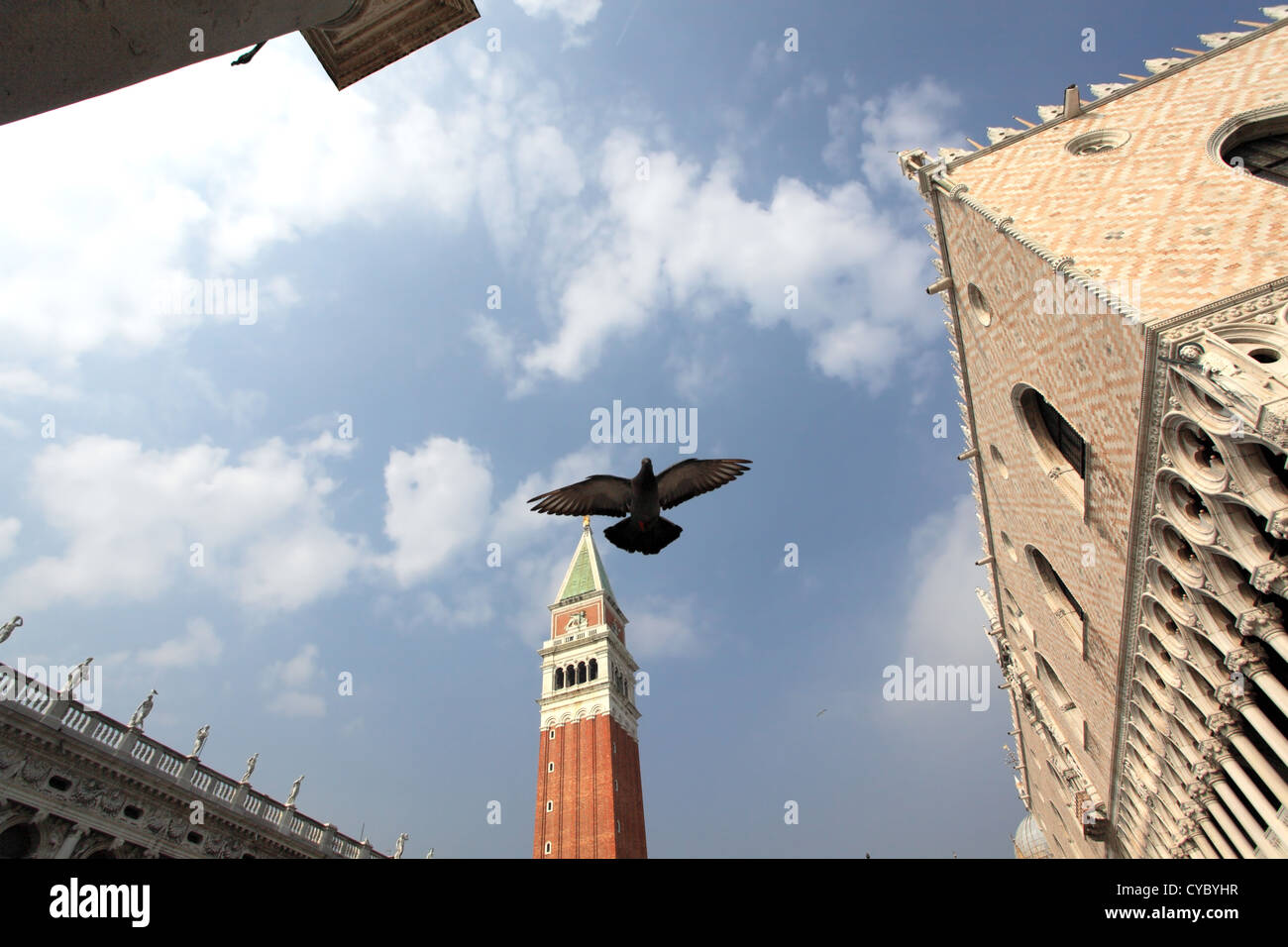 Bella Italia-Serie. Venedig - die Perle Italiens. Taube fliegt über den Markusplatz (Piazza San Marko). Stockfoto