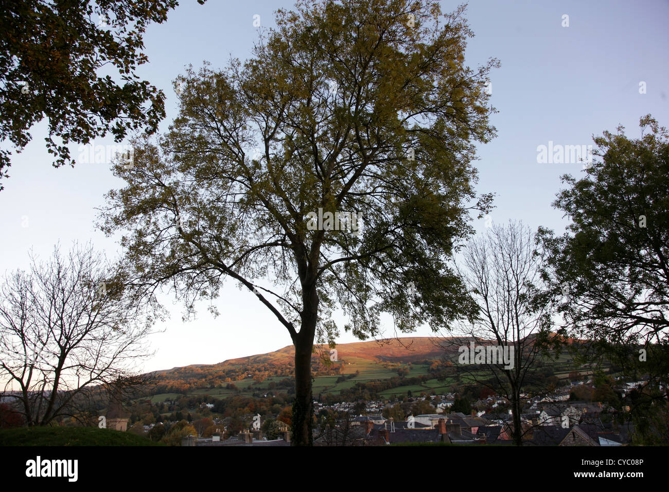 Esche über Crickhowell, Powys, Wales, UK. Stockfoto