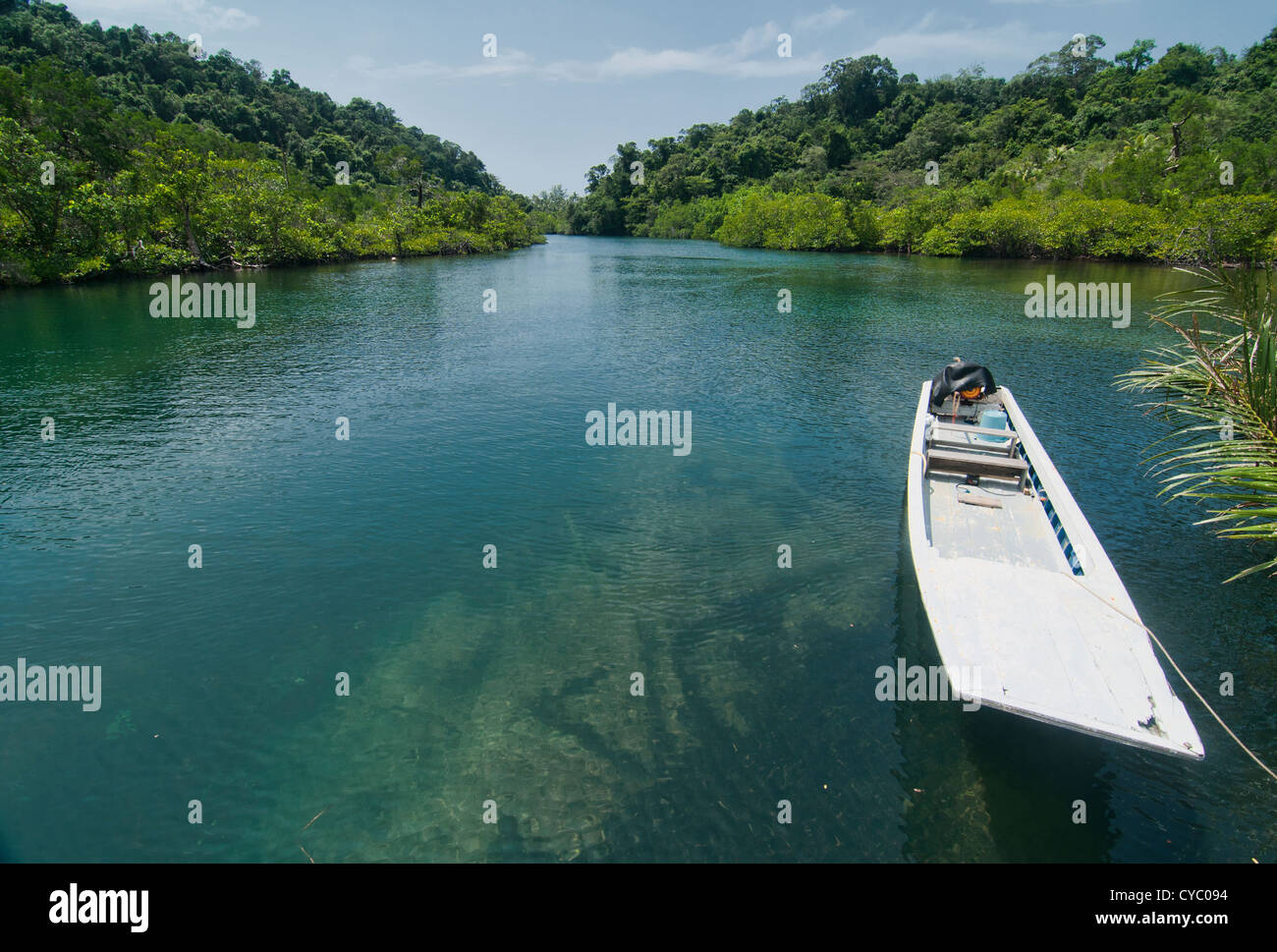Fluss und Mangroven auf der Insel Koh Kood, Thailand Stockfoto