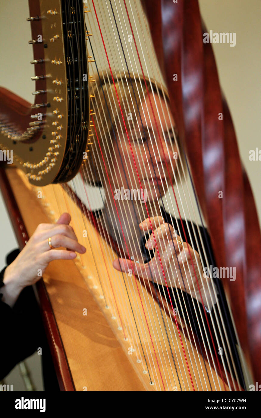 Eine Musikerin spielt die Harfe bei einer Hochzeit im The Mansion Hochzeit und Konferenz Veranstaltungsort in Roundhay Park, Leeds, West Yorksh Stockfoto