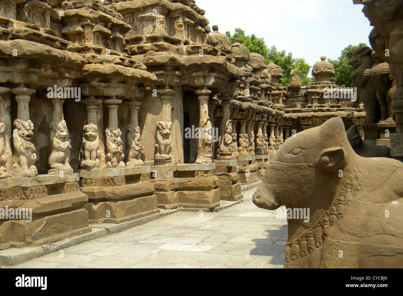 Indien, Tamil Nadu, Kancheepuram Tempel Stockfoto