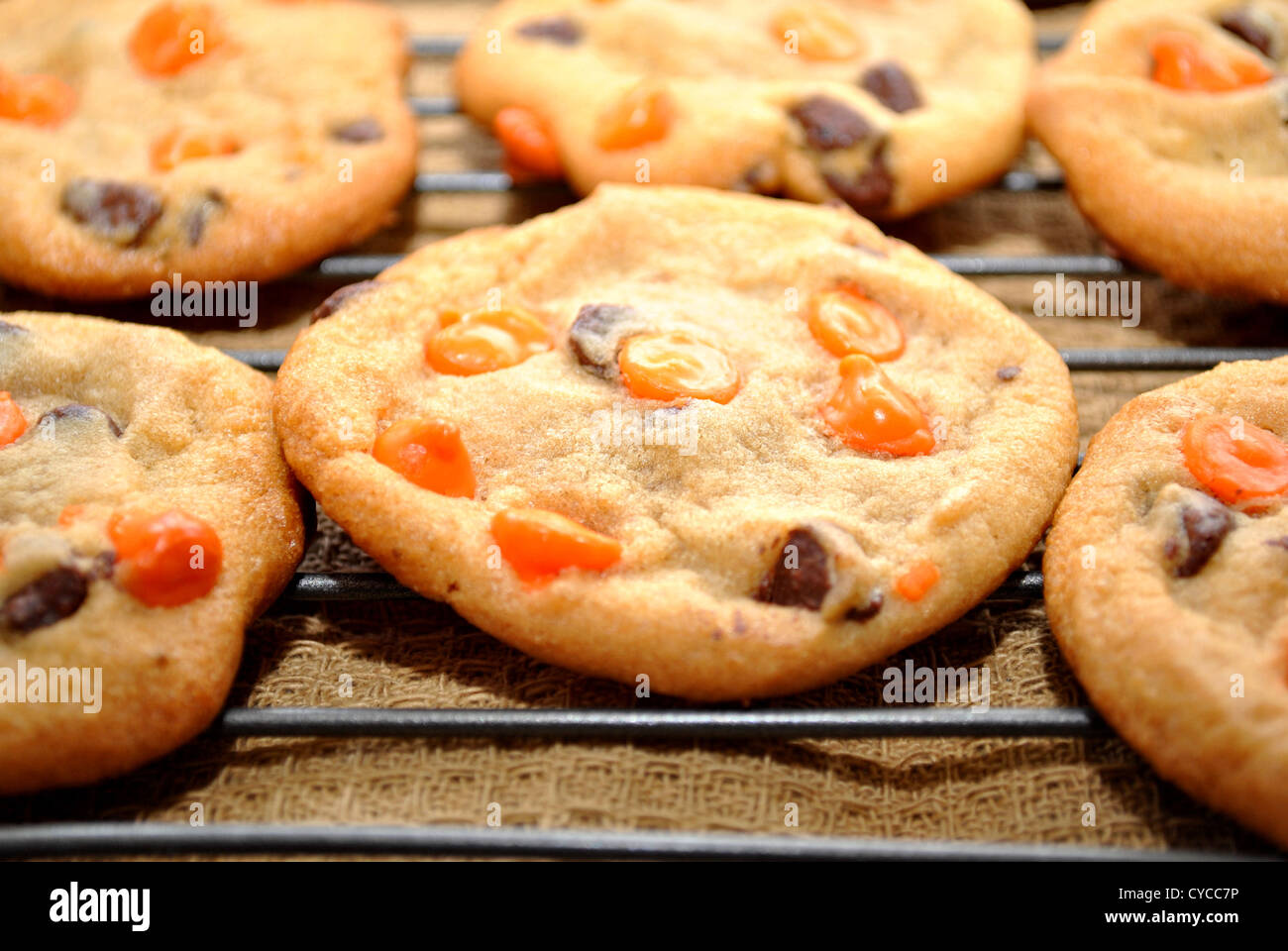 Halloween Cookie close-up auf einem Kuchengitter abkühlen Stockfoto