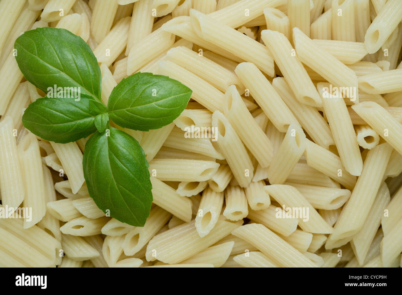 Penne Rigate Nudeln Stockfoto