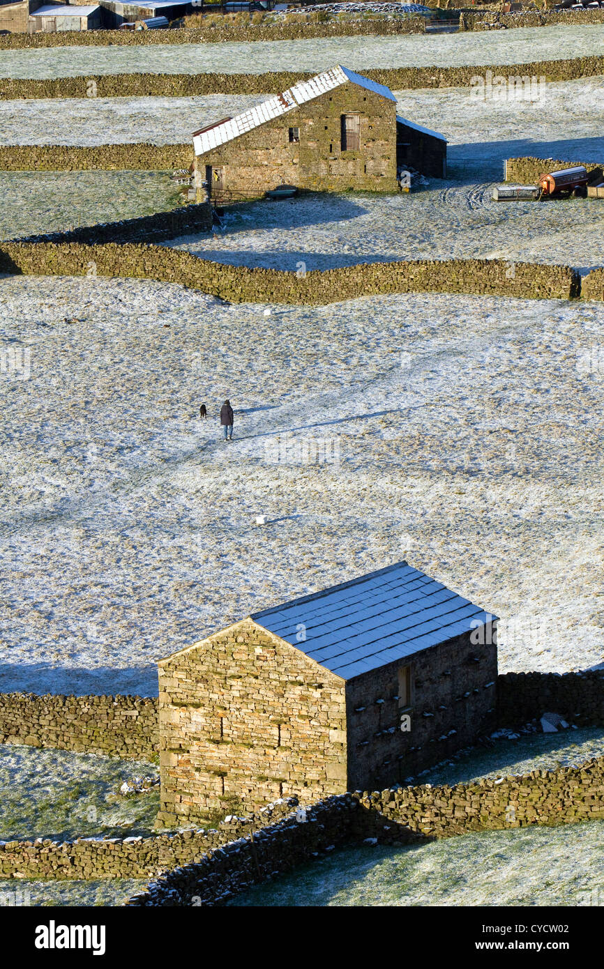 Gunnerside Wohnungen; Landwirtschaft Landschaften, ein Wanderer mit Hund und Stein Scheunen in Gunnerside Wohnungen, Swaledale, North Yorkshire Dales, Richmondshire, Großbritannien Stockfoto