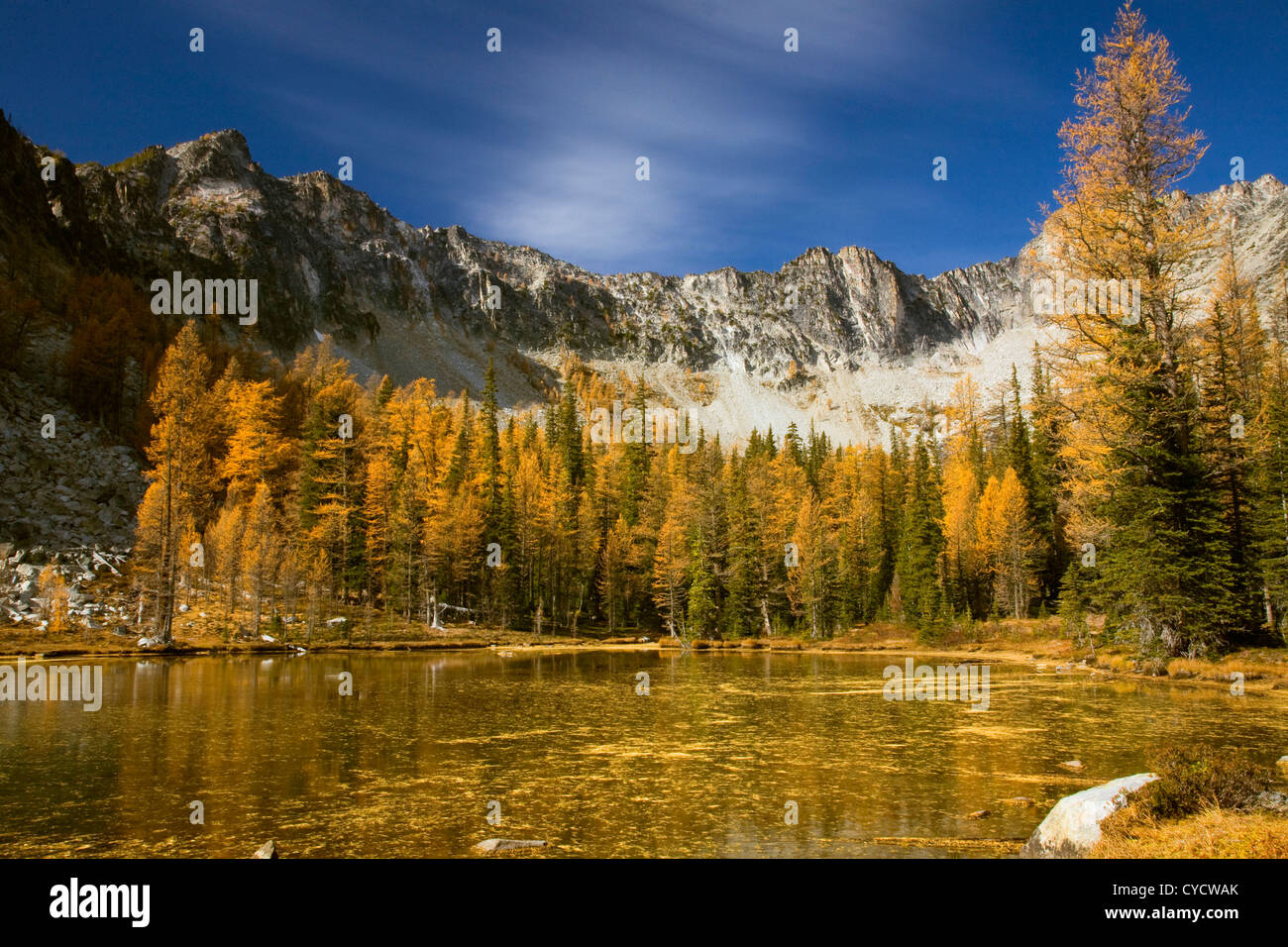 WASHINGTON - Die goldenen Glanz der Lärchen im Herbst Farben bei Eagle Lake und die Sawtooth Ridge in Okanogan National Forest. Stockfoto