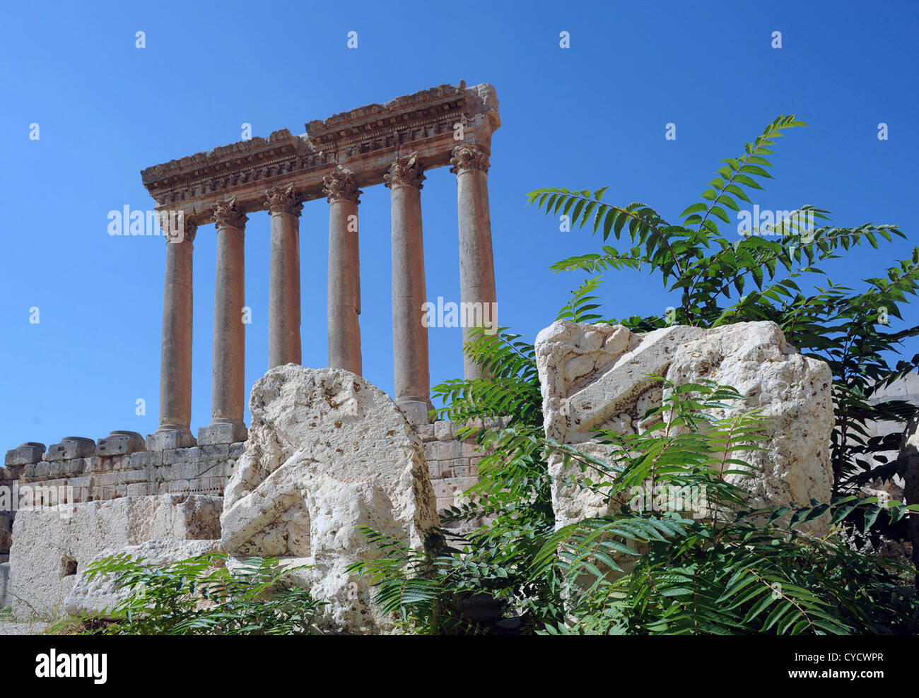 Tempel-Ruinen von Baalbek im Libanon. Stockfoto