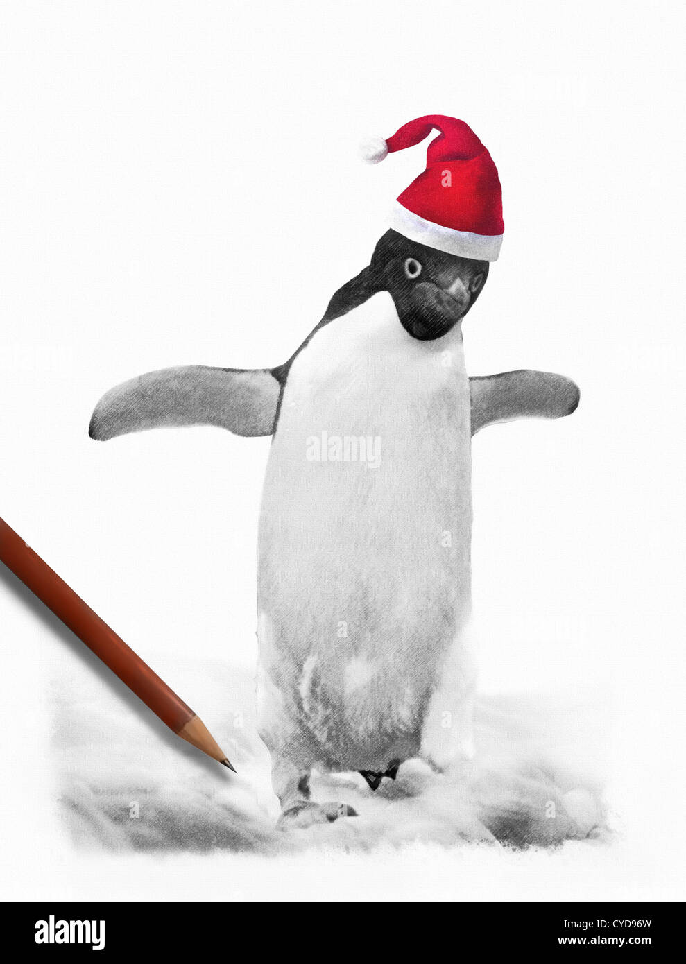 Niedlichen Pinguin trägt Weihnachtsmütze. Hand gezeichnet Graphit Niedlichen Pinguin trägt Weihnachtsmütze. Hand gezeichnet Graphit