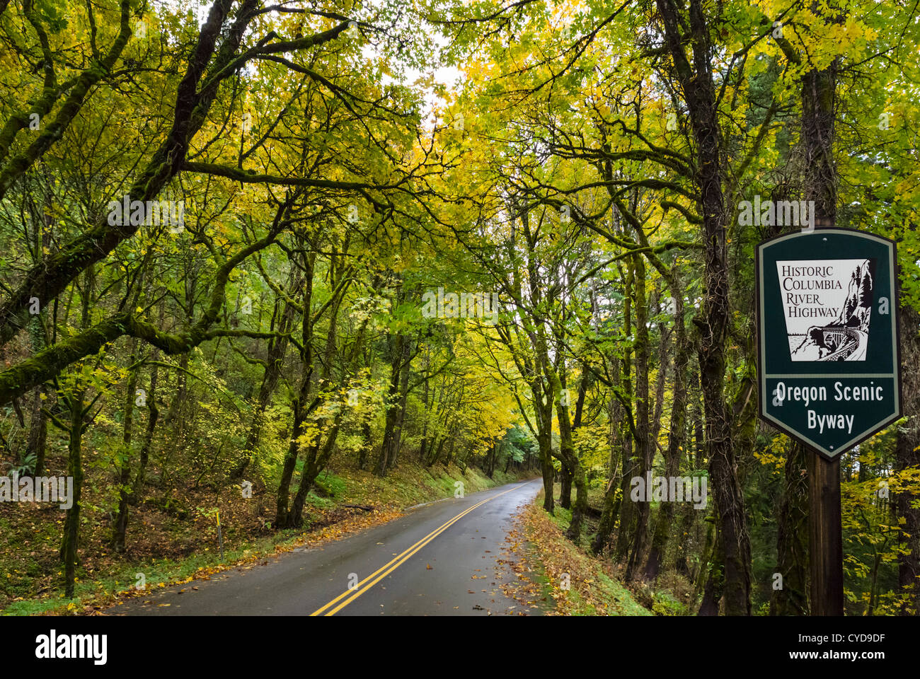 Straßenschild auf US 30, der historic Columbia River Highway, Columbia River Gorge, Multnomah County, Oregon, USA Stockfoto