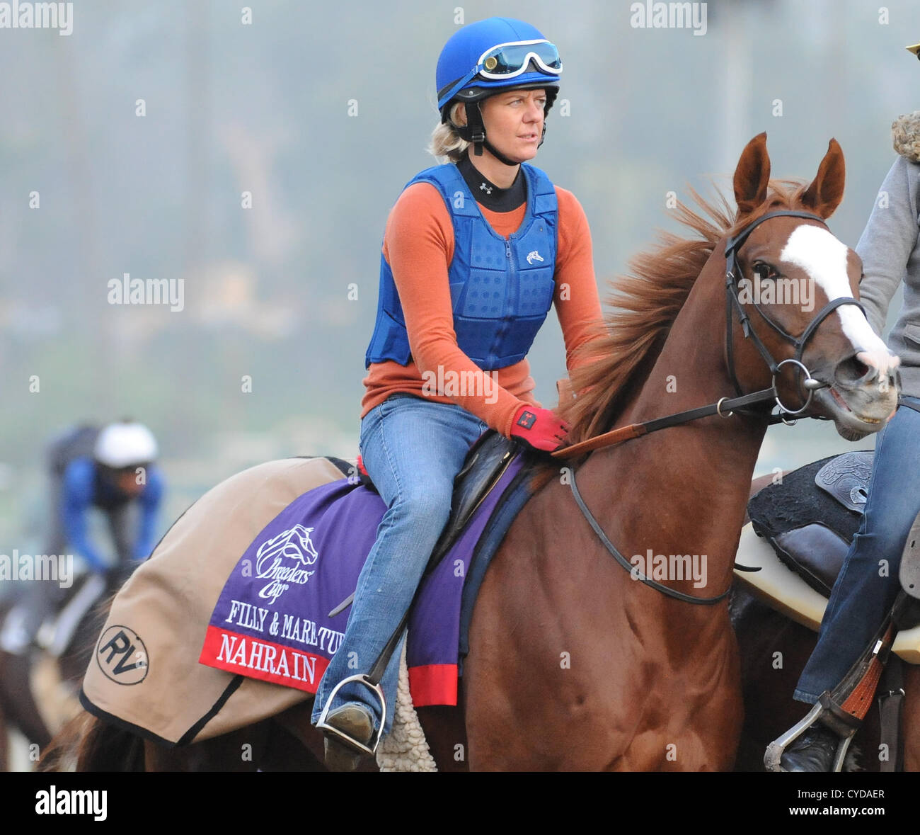 1. November 2012 - Arcadia, Kalifornien, USA - Nahrain, von Roger Varian, Übungen in Vorbereitung auf die kommende Breeders Cup im Santa Anita Park am 1. November 2012 ausgebildet. (Kredit-Bild: © Scott Serio/Eclipse/ZUMAPRESS.com) Stockfoto