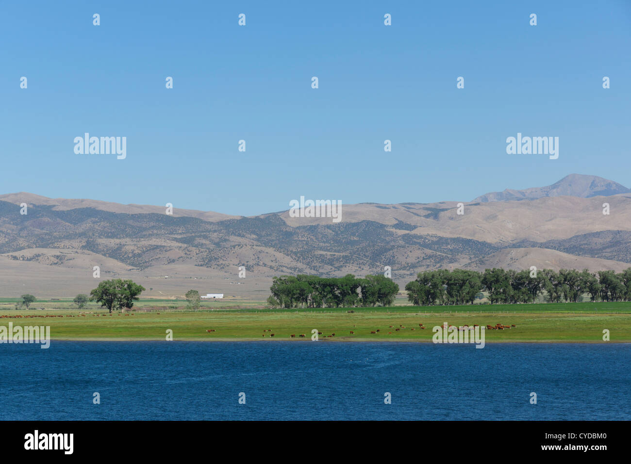 Topaz Lake am Highway 395 northern California Central Valley. Stockfoto