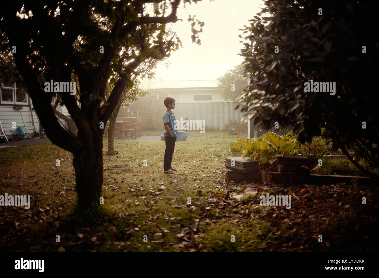 Nebligen Herbst Dawn: junge steht im Garten Stockfoto
