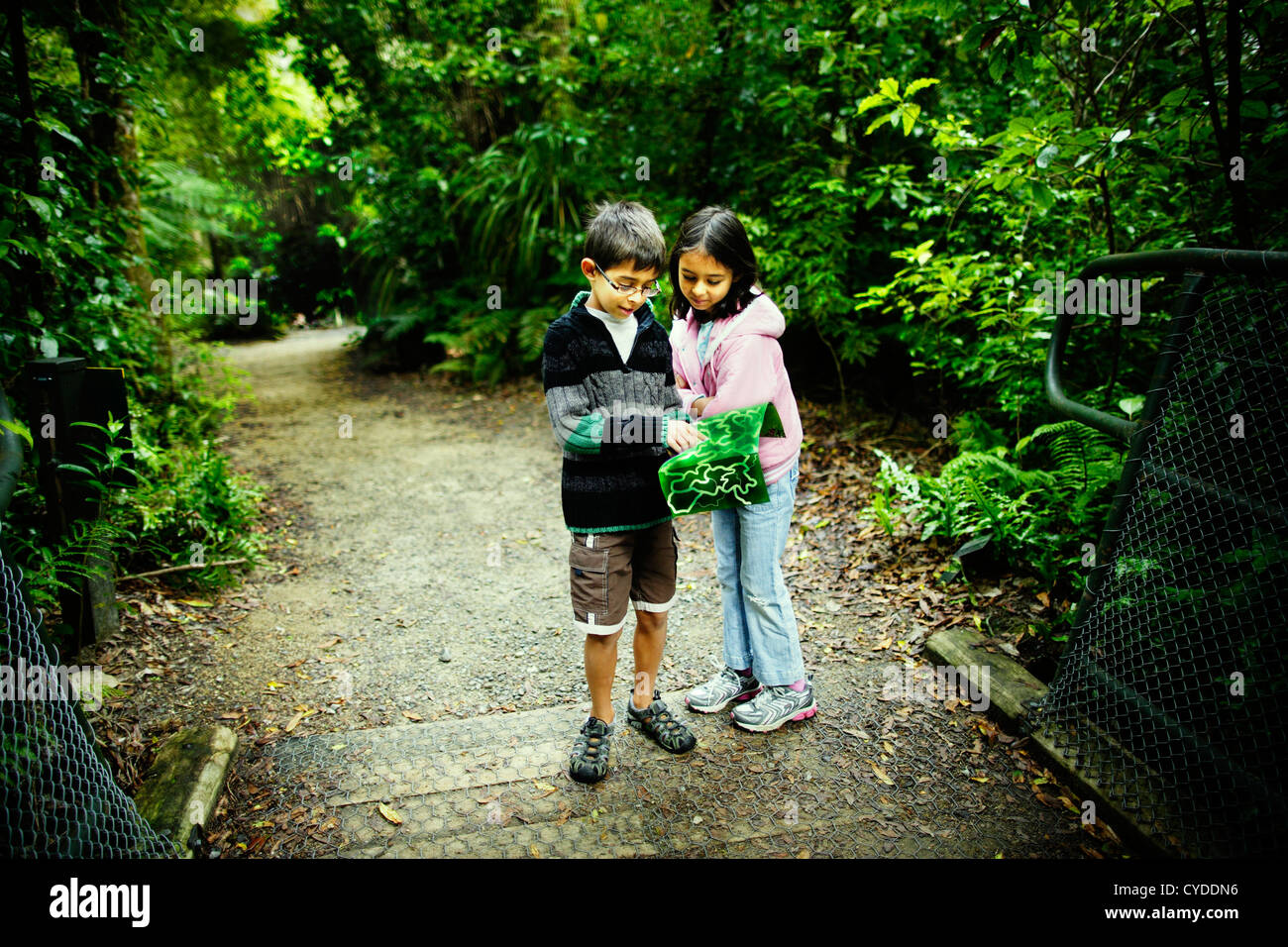 Kartenlesen. Jungen und Mädchen diskutieren Weg durch Waldpark. Stockfoto
