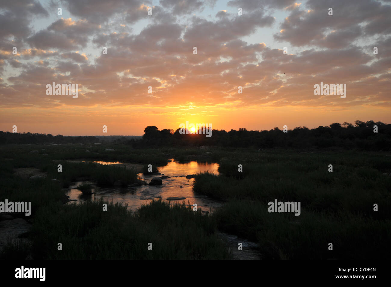 Sonnenaufgang im Krüger Park von Kruger Gate in Südafrika. Blick in die Sonne über dem Wasser. Stockfoto