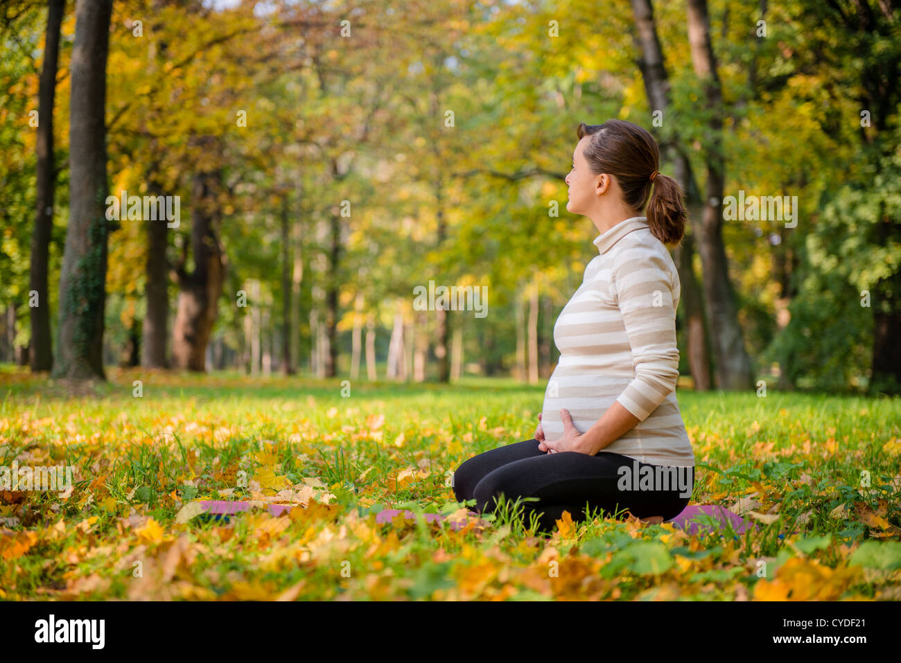 Junge schwangere Frau outdoor im Herbst Natur entspannen Stockfoto