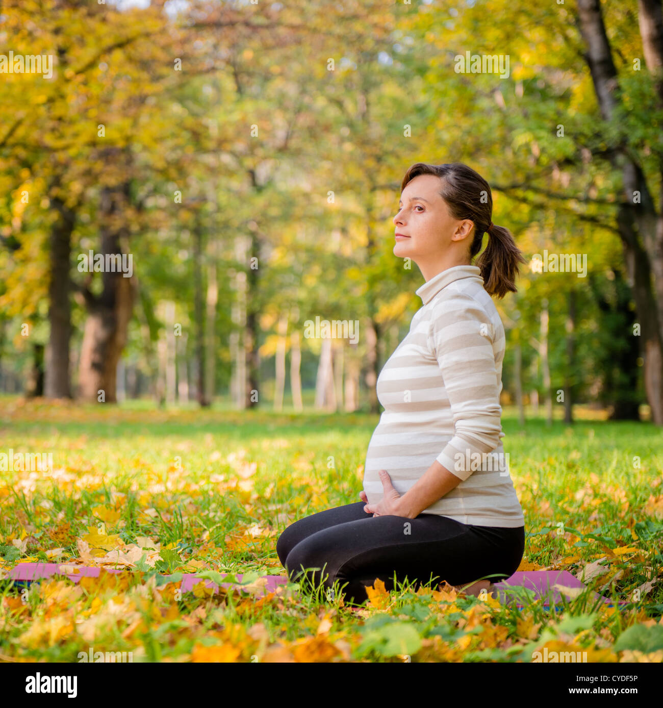 Junge schwangere Frau outdoor im Herbst Natur entspannen Stockfoto