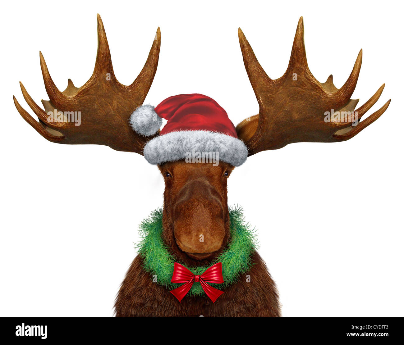 Weihnachts-Elch mit Santaclause Hut und einen Adventskranz mit eine rote Seidenschleife als saisonale Symbol die Saison zu feiern Stockfoto