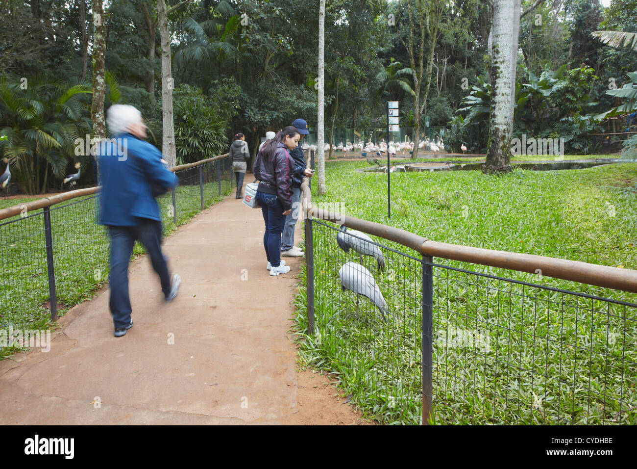 Menschen am Parque Das Aves (Vogelpark), Iguacu, Parana, Brasilien Stockfoto