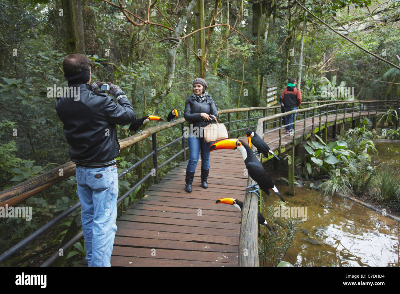 Menschen nehmen Foto von Tukanen am Parque Das Aves (Vogelpark), Iguacu, Parana, Brasilien Stockfoto