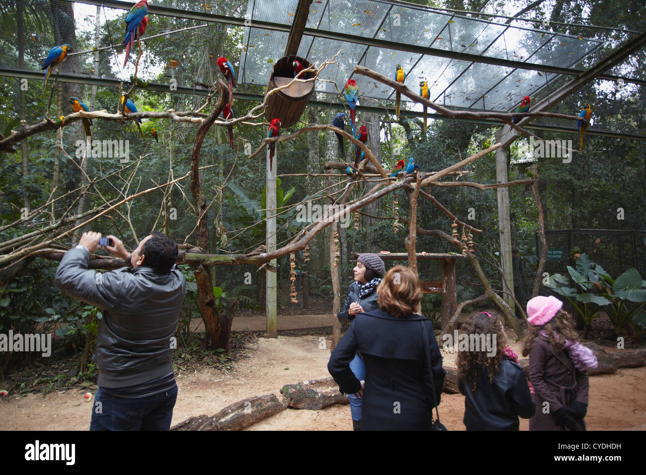 Menschen in Papagei Gehäuse am Parque Das Aves (Vogelpark), Iguacu, Parana, Brasilien Stockfoto
