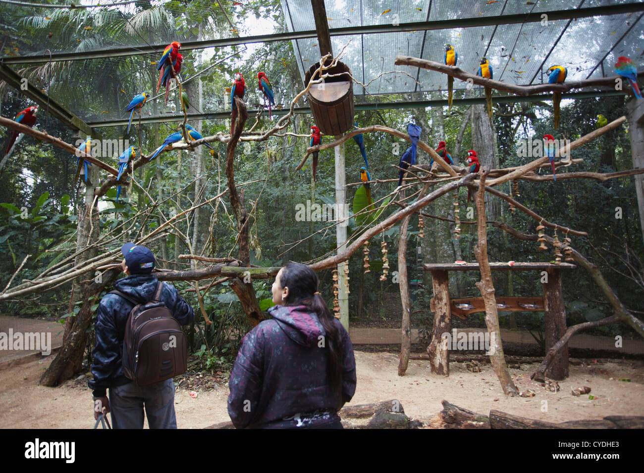 Menschen in Papagei Gehäuse am Parque Das Aves (Vogelpark), Iguacu, Parana, Brasilien Stockfoto