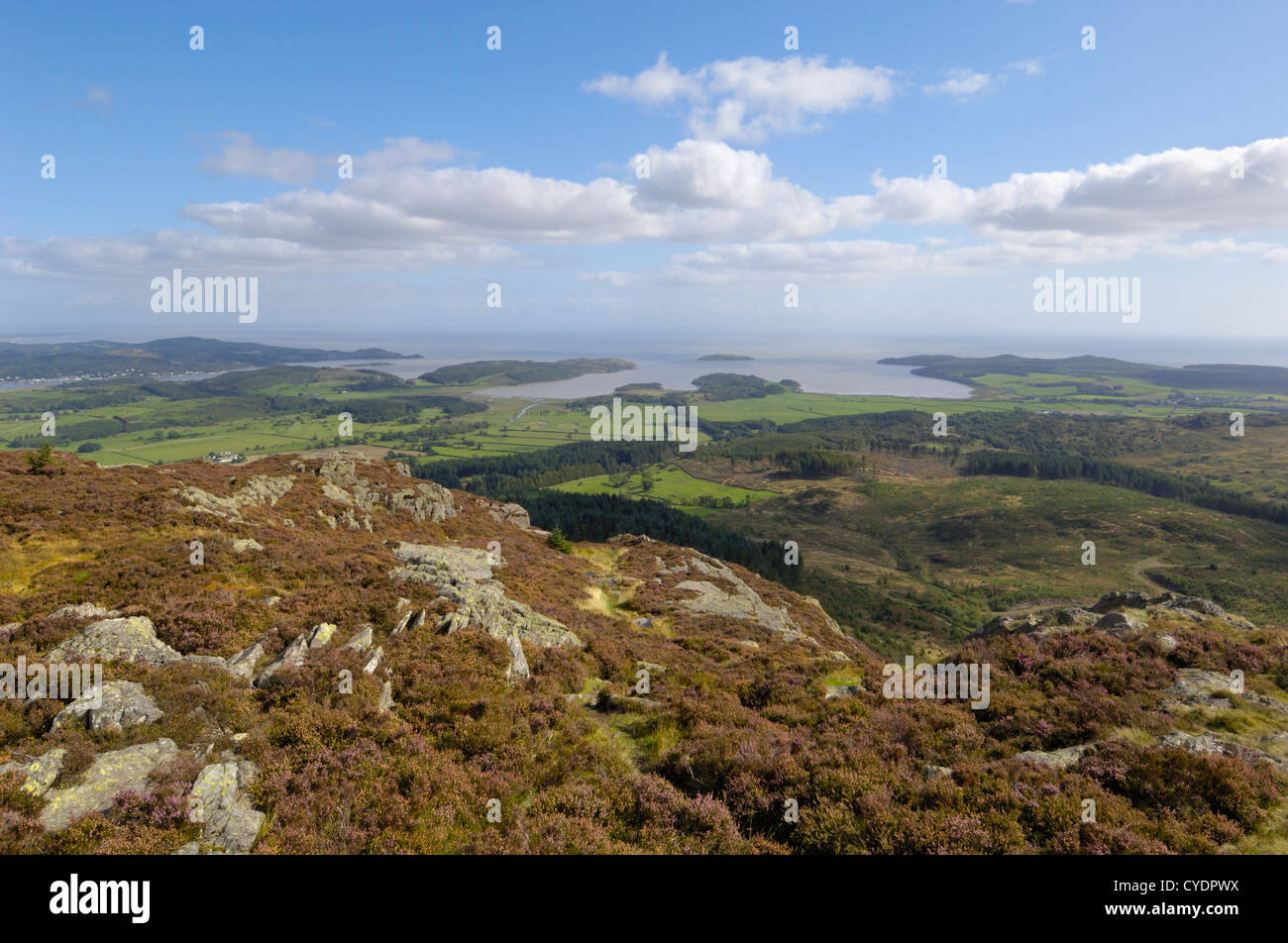 Blick vom Screel Hügel, mit Blick in Richtung Auchencairn Bay, Dumfries & Galloway, Schottland Stockfoto