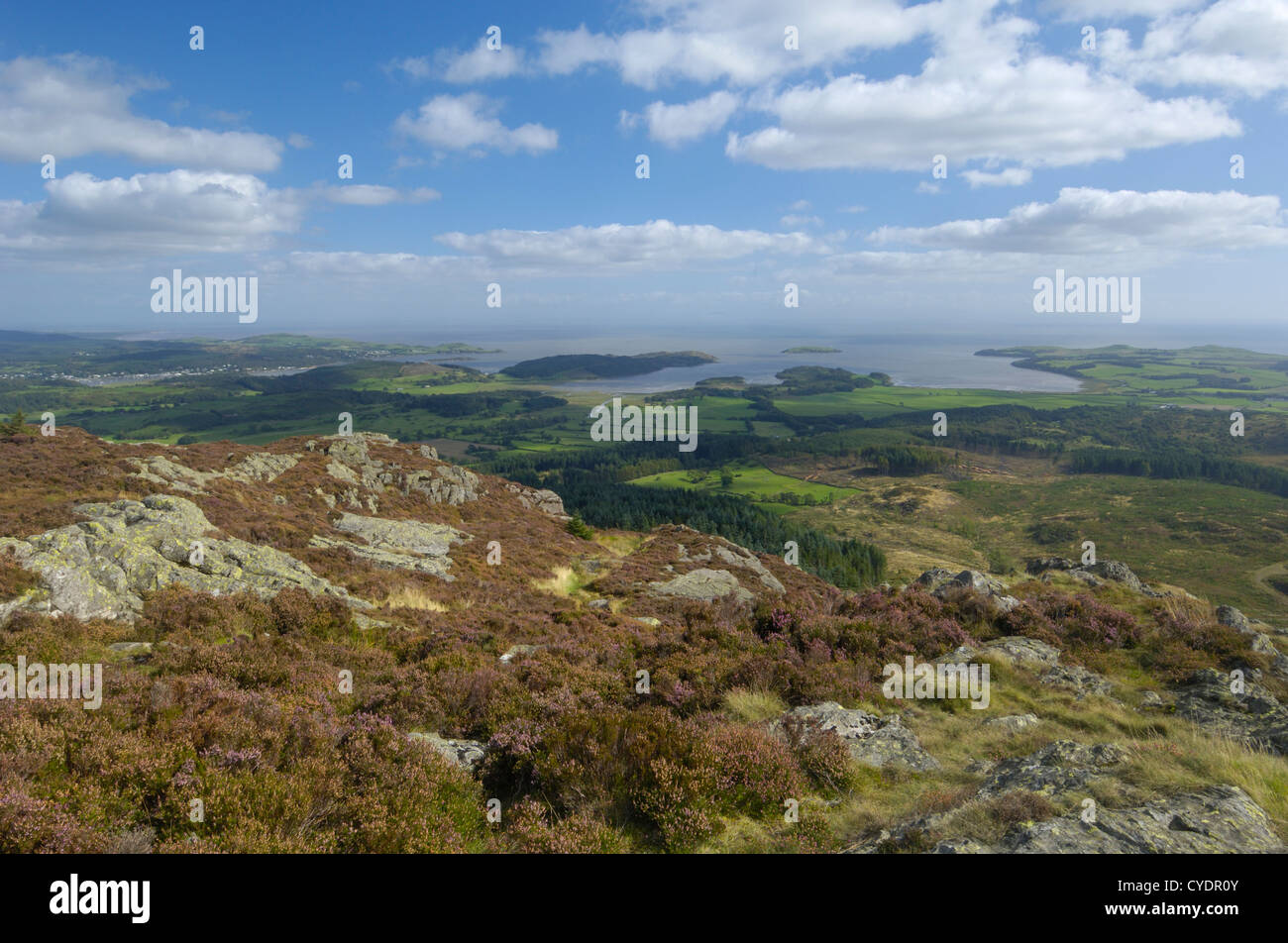 Blick vom Screel Hügel, mit Blick in Richtung Auchencairn Bay, Dumfries & Galloway, Schottland Stockfoto
