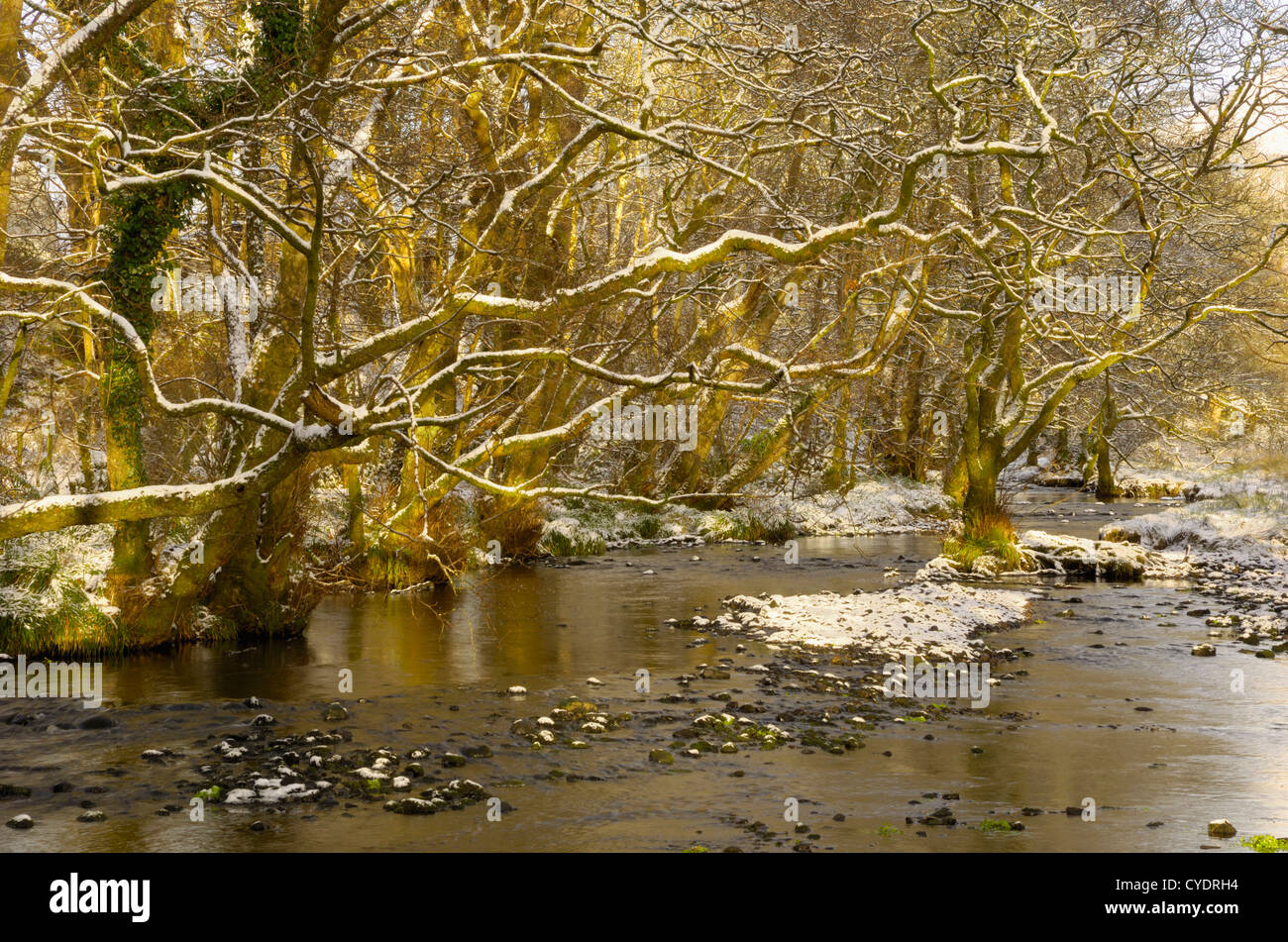 Wenig Wasser der Flotte im Winterschnee, Dumfries & Galloway, Schottland Stockfoto