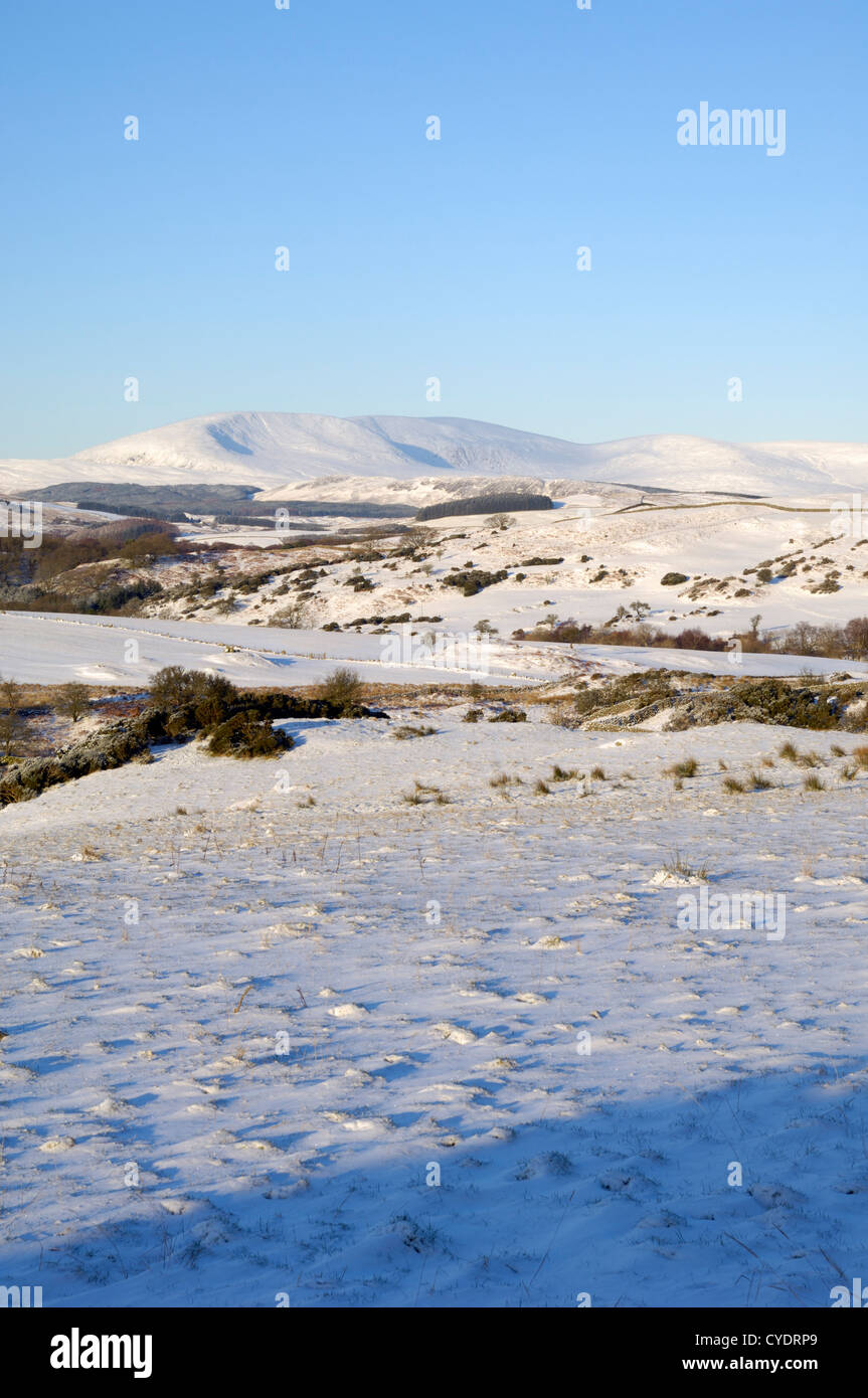 Cairnsmore der Flotte im Winterschnee, aus Knocktinkle Sicht, Dumfries & Galloway, Schottland Stockfoto