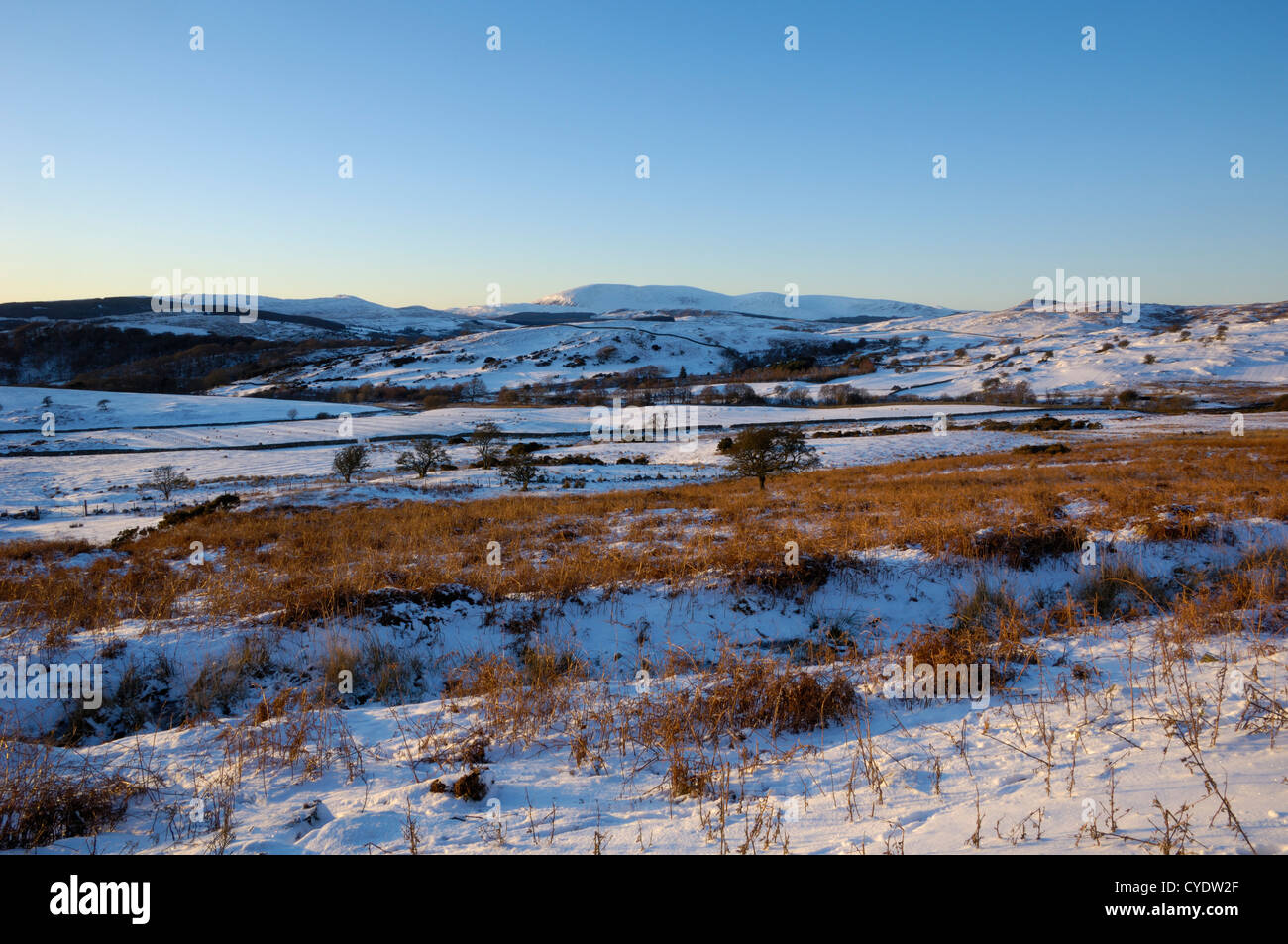 Flotte Valley National Scenic Area mit Blick auf Cairnsmore der Flotte im Winterschnee, Dumfries & Galloway, Schottland Stockfoto