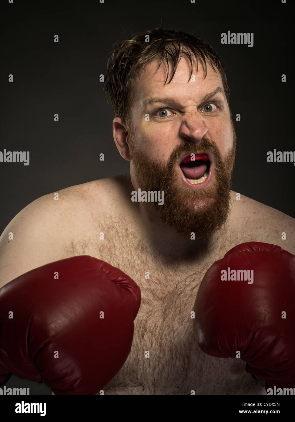 Schwergewichts-Boxer mit roten Handschuhen und Bart Stockfoto