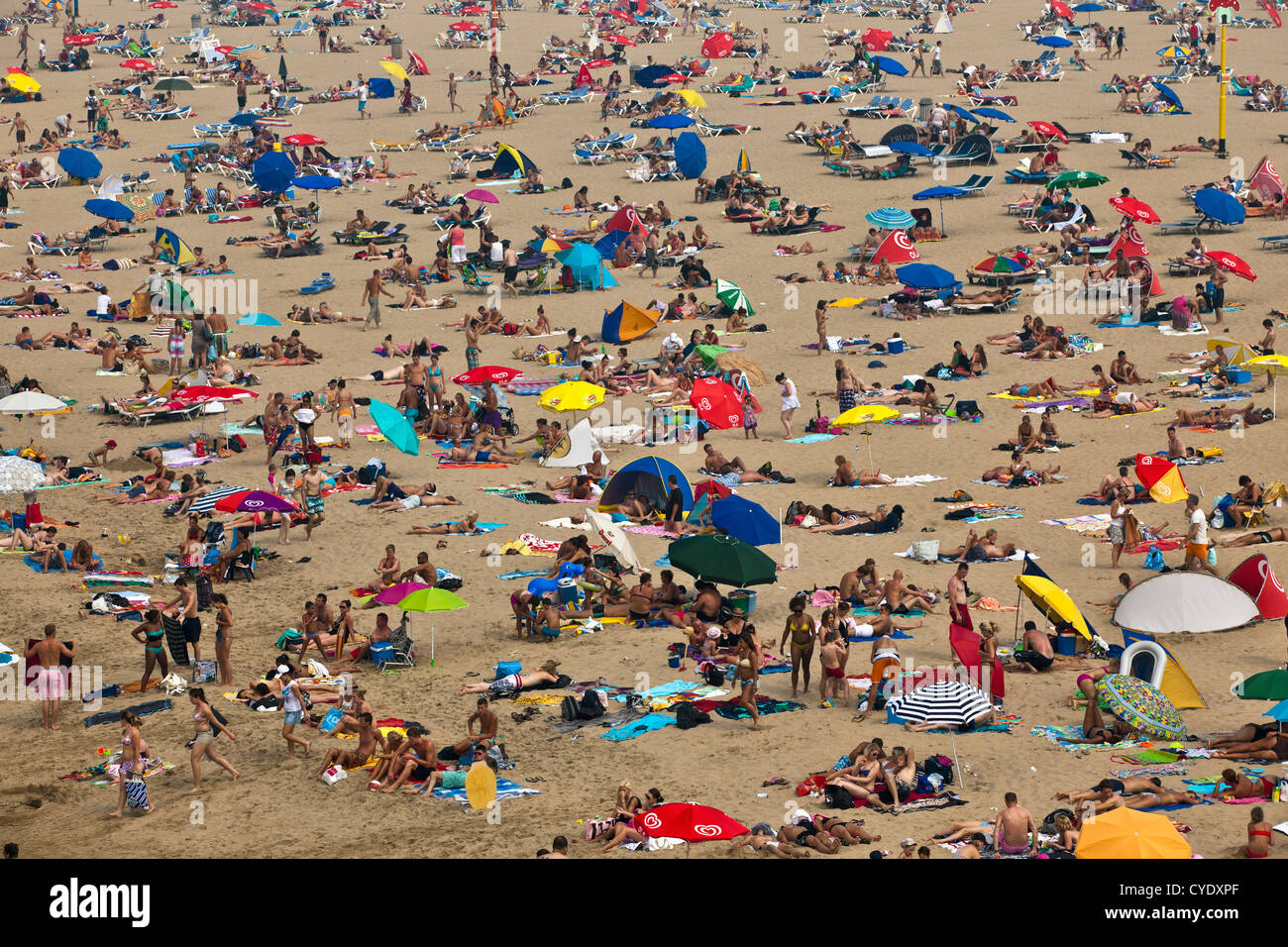 Niederlande, Scheveningen, in der Nähe von den Haag oder in Niederländisch: Den Haag. Leute, Sonnenbaden am Strand. Im Sommer. Luftbild Stockfoto