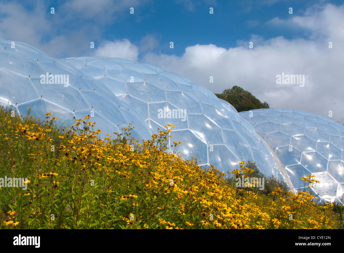 Außenseite des Eden Projekte wichtigsten Glas Haus Gebäude mit Sommer blühenden Beeten, Cornwall, England Stockfoto