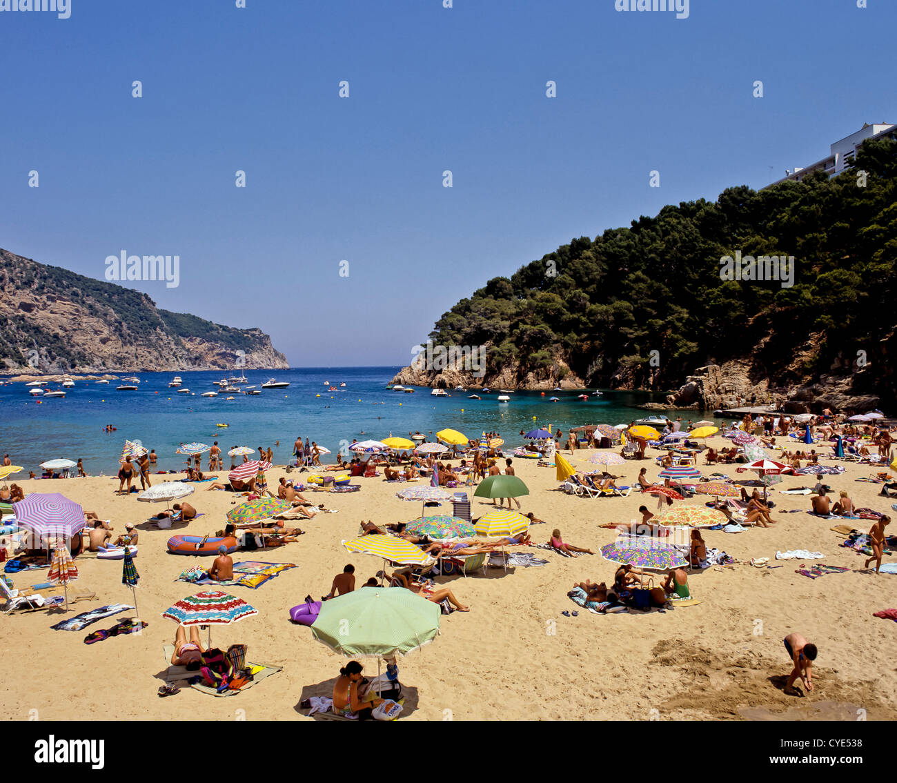 8287. Aigua Blava, Costa Brava, Spanien, Europa Stockfoto