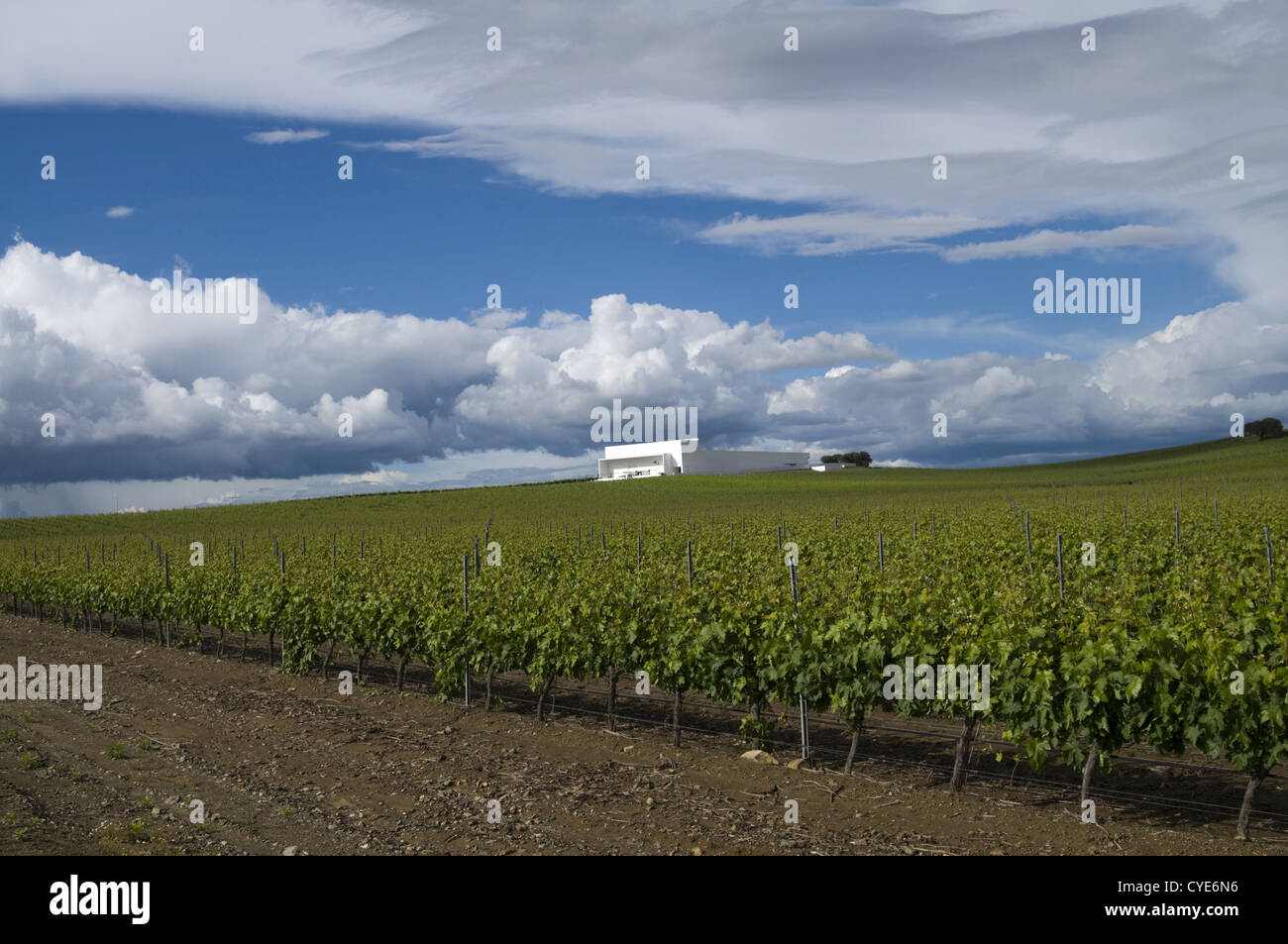 Adega Bürgermeister Weingut, von Siza Vieira entworfen. Alentejo, südlich von Portugal. Stockfoto