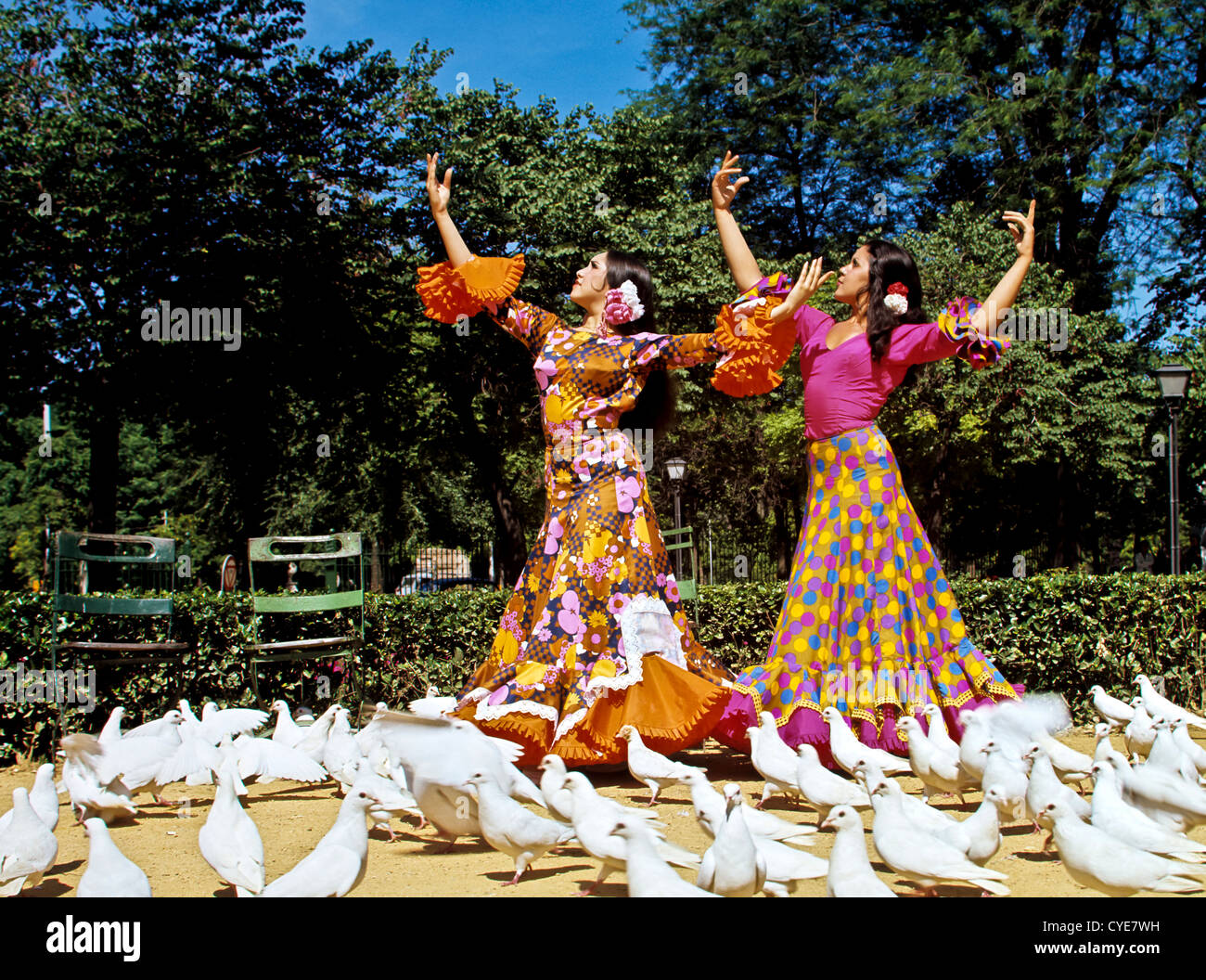 8337. Flamenco-Tänzer, Sevilla, Spanien, Europa Stockfoto