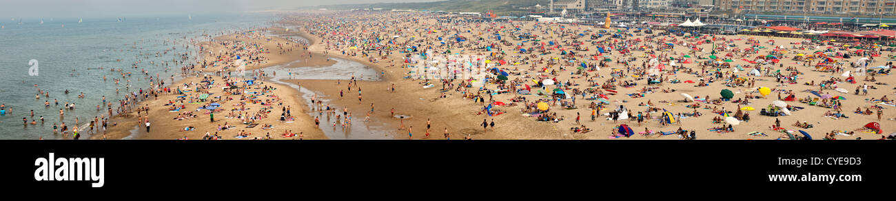 Niederlande, Scheveningen, den Haag oder in Niederländisch: Den Haag. Leute, Sonnenbaden am Strand. Sommer. Panorama-Blick. Luftbild Stockfoto