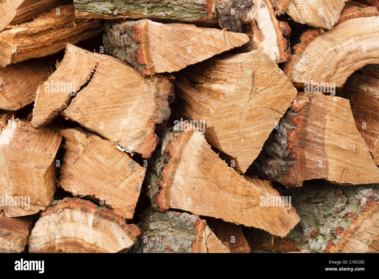 Nahaufnahme der Holzhaufen mit Eiche Scheitholz Stockfoto