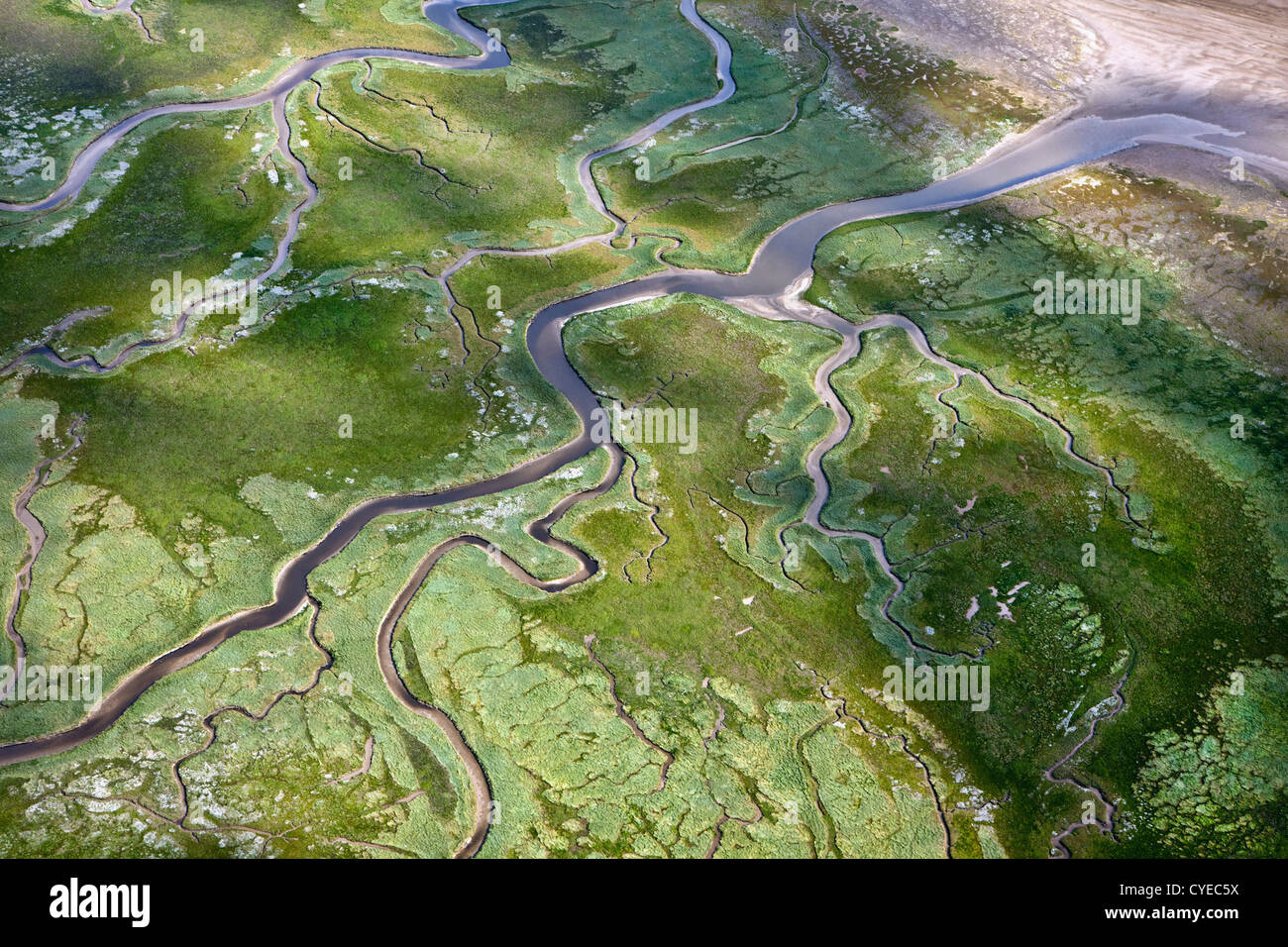 Schiermonnikoog Insel gehört zum Wadden Sea Islands. UNESCO-Weltkulturerbe. Luft. Marsh Land, Watten. Stockfoto