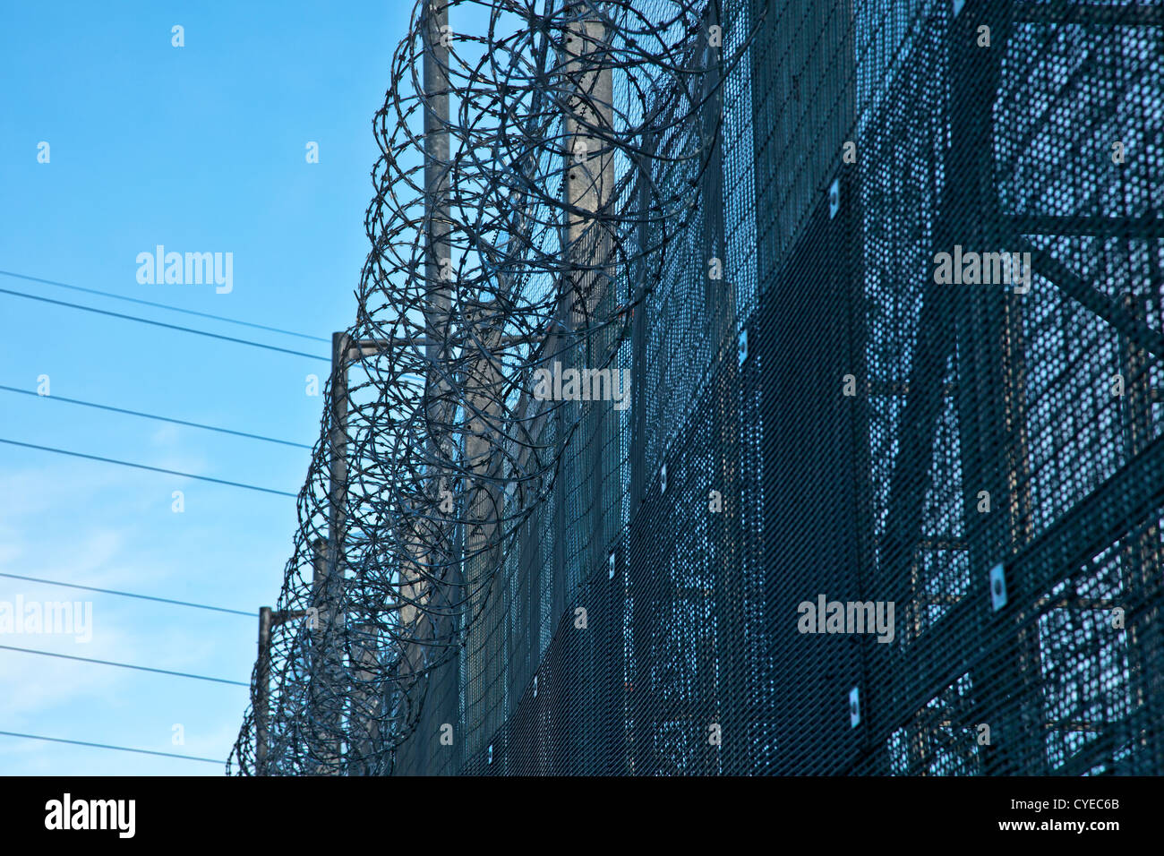 Stacheldraht auf Drahtzaun, anti-Diebstahl-Zaun am Heck des B & Q Superstore. Stockfoto