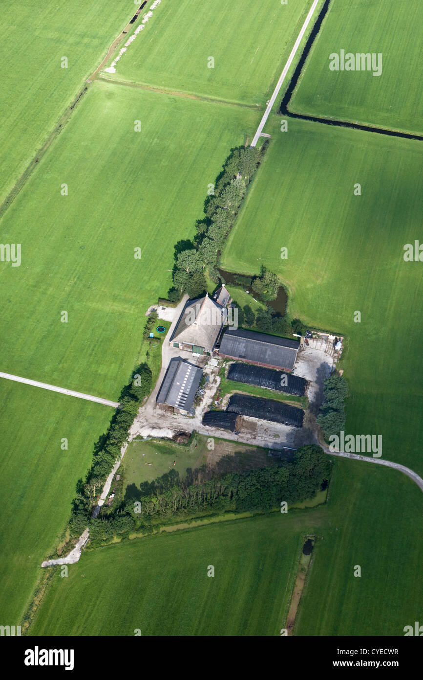 Der Niederlande, in der Nähe von Stiens, Farm. Luft. Stockfoto